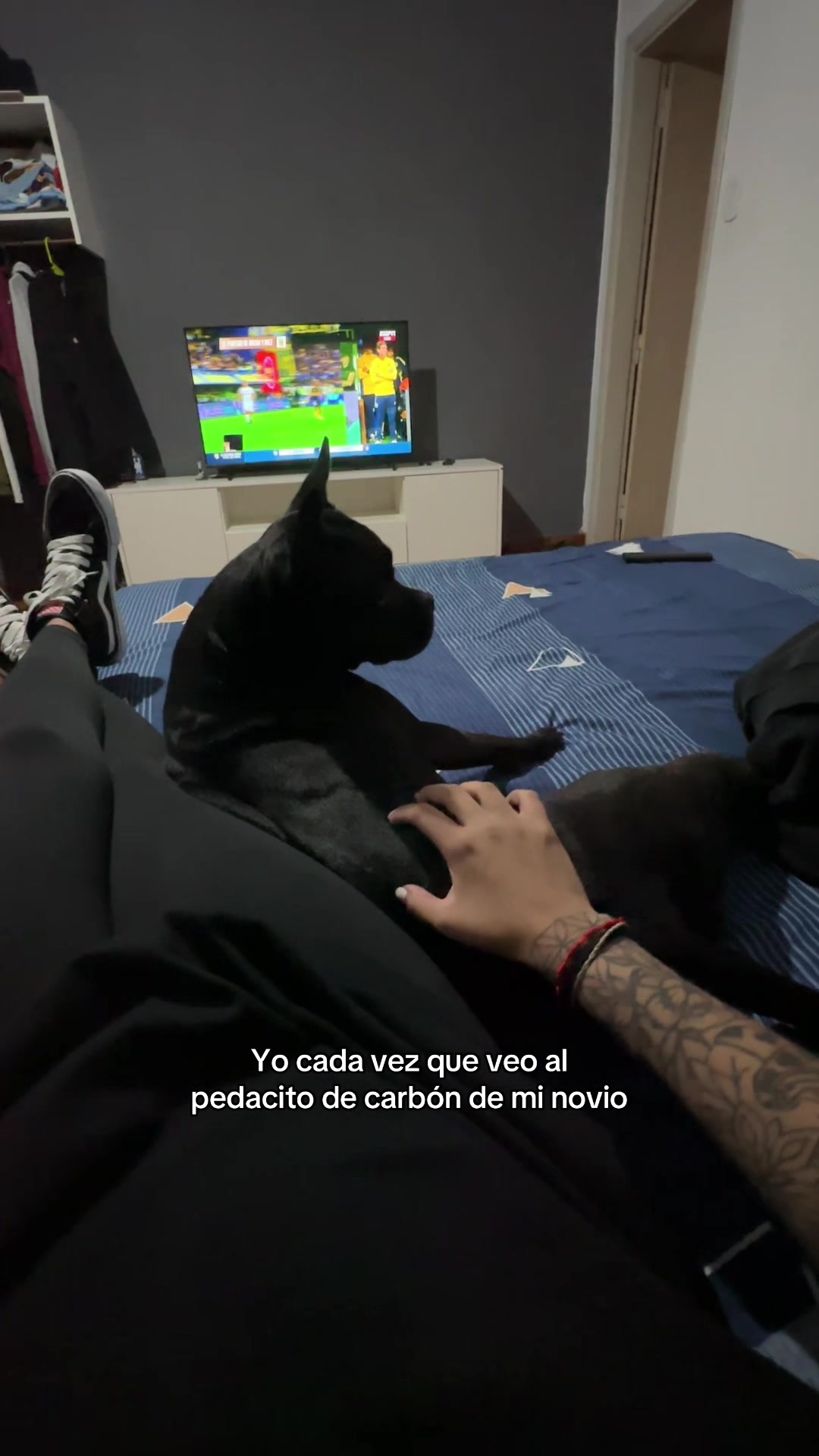 @Camilu