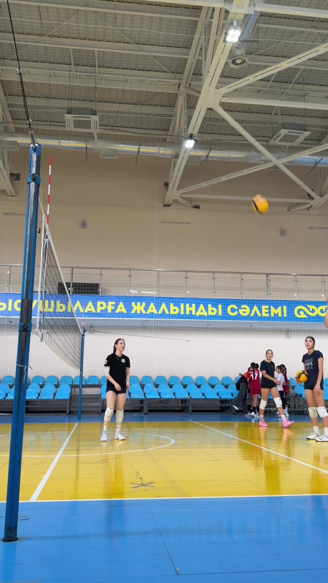 @ардашок