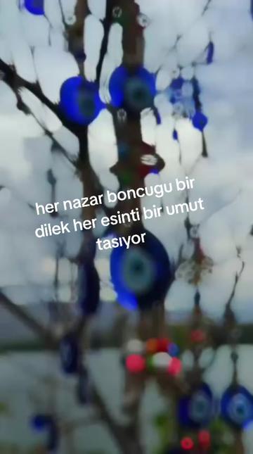 @Rosalinda07 🐞
