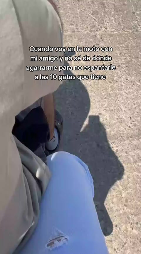 @Zujei