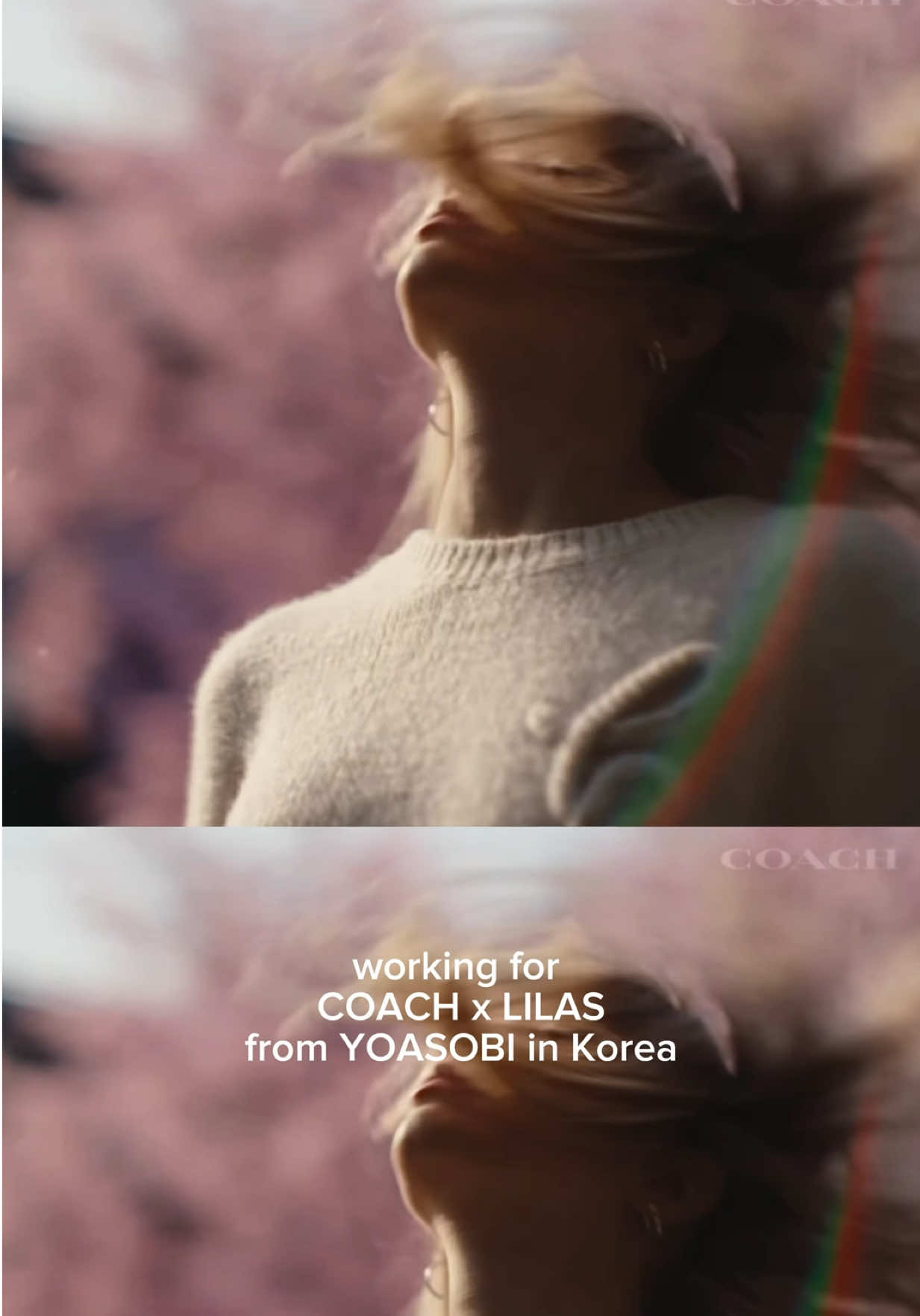 @Laurie-Ann 로리앤