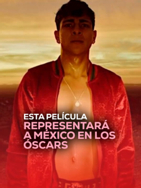 @MVS Noticias Monterrey