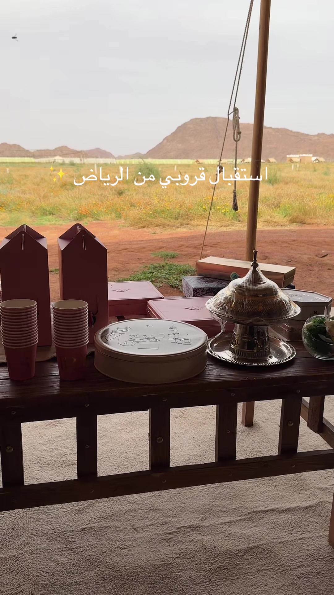 @مرشدة  بحائل  guide in hail