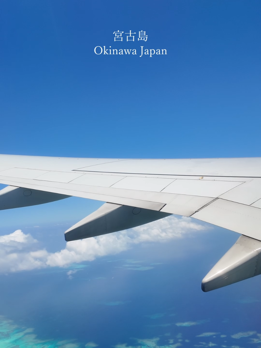 @ほんとの日本