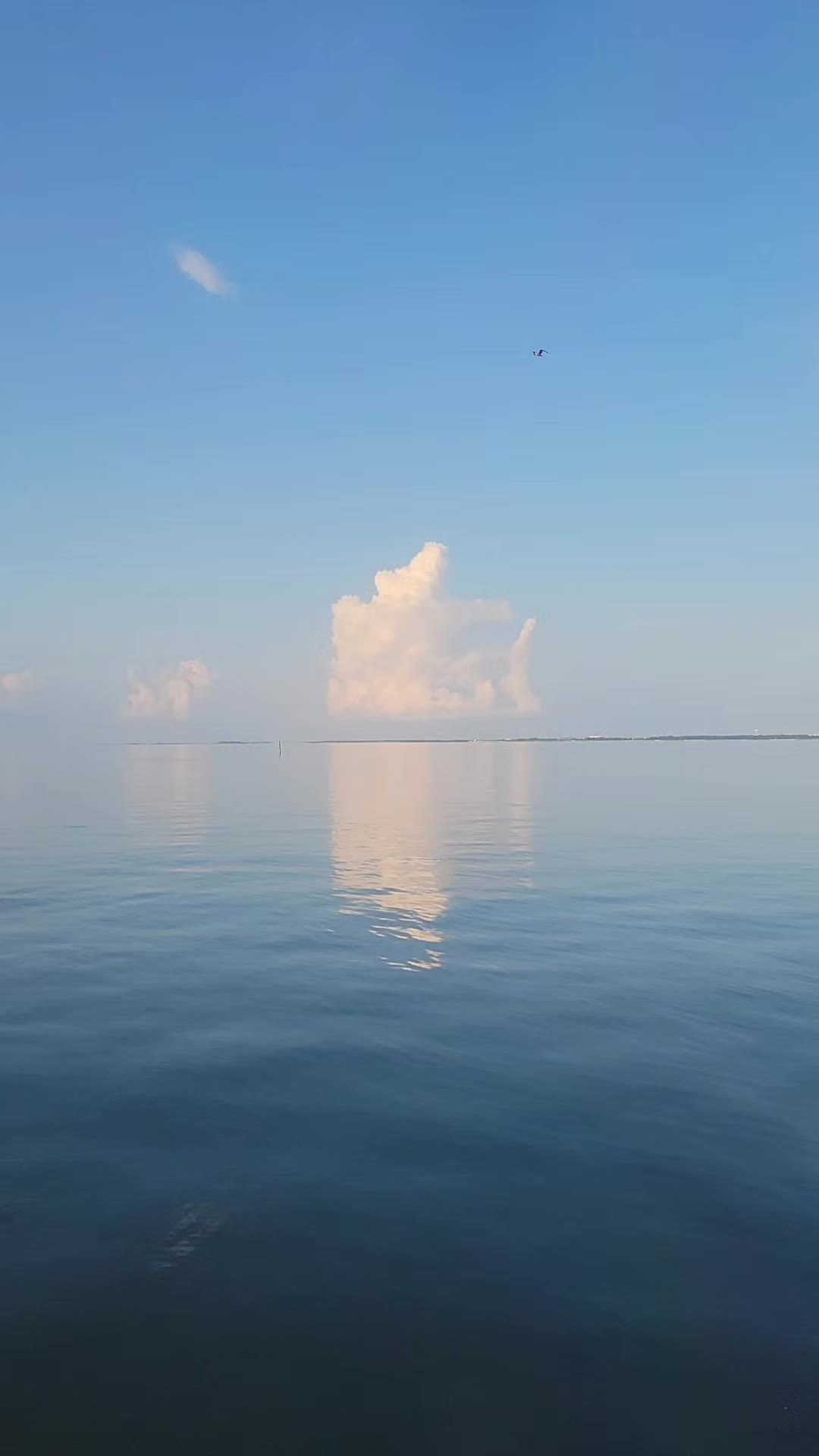 @TheBeachIsFree