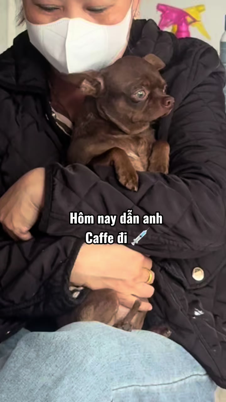@L&uacute;n L&egrave;👽