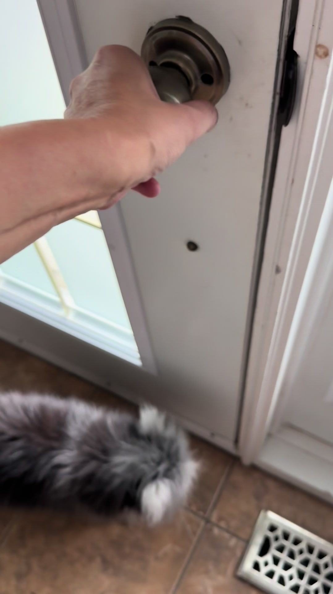 @atchoumthecat