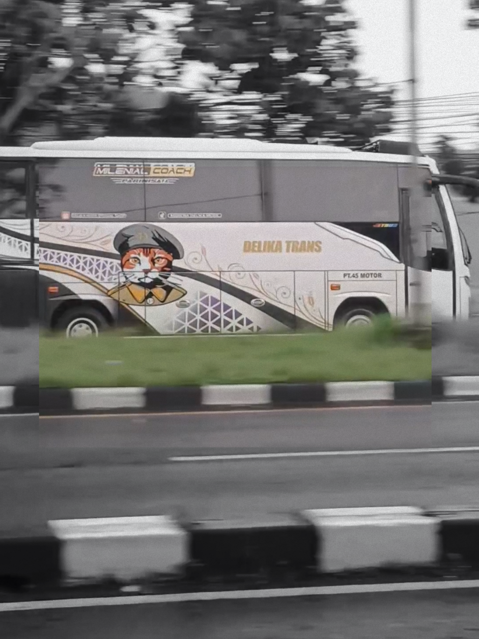 @Arfan Wisata
