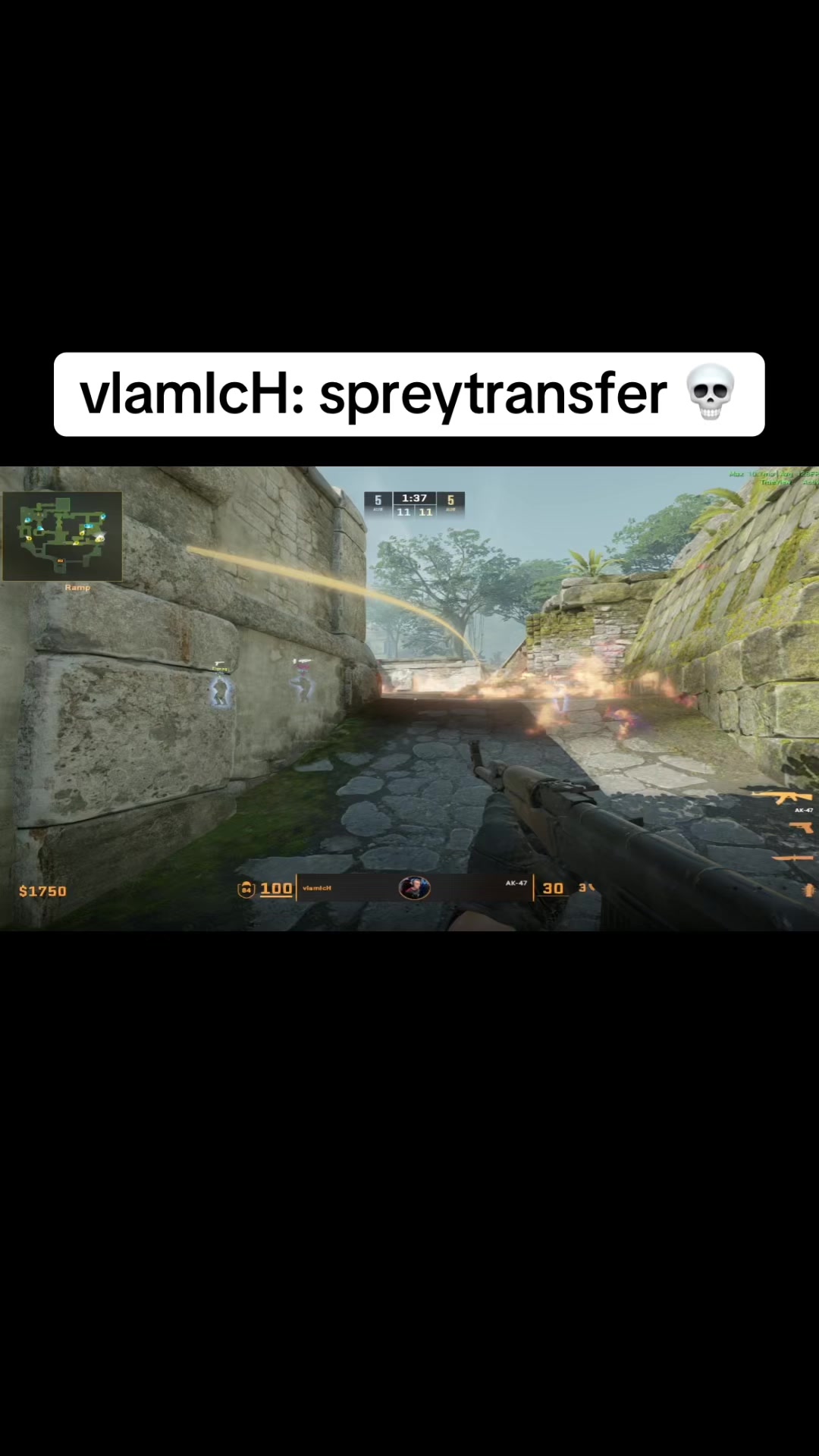 @vlamIcH