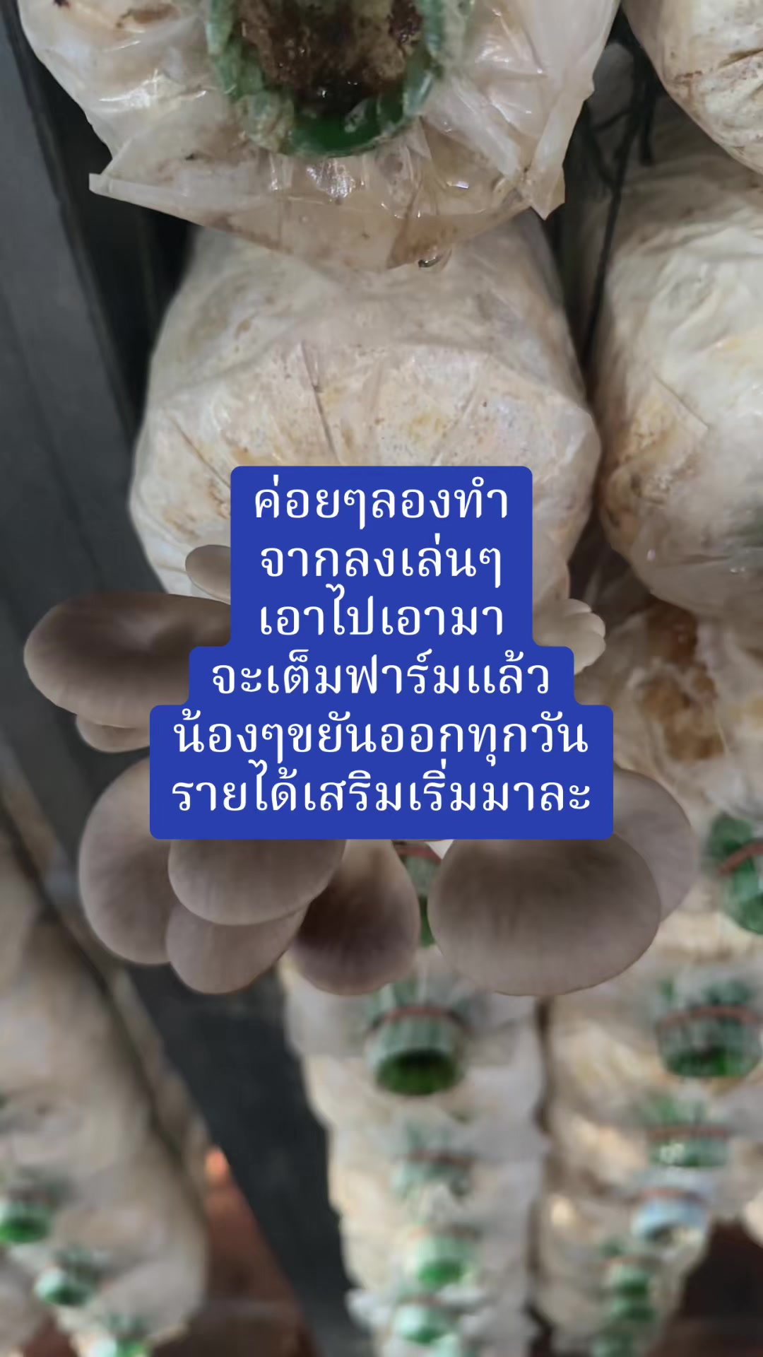@Pat-Patchanan