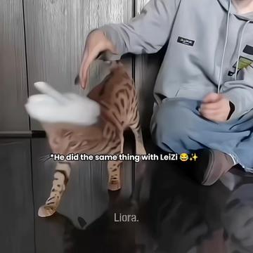 @𝐋 𝐢 𝐨 𝐫 𝐚