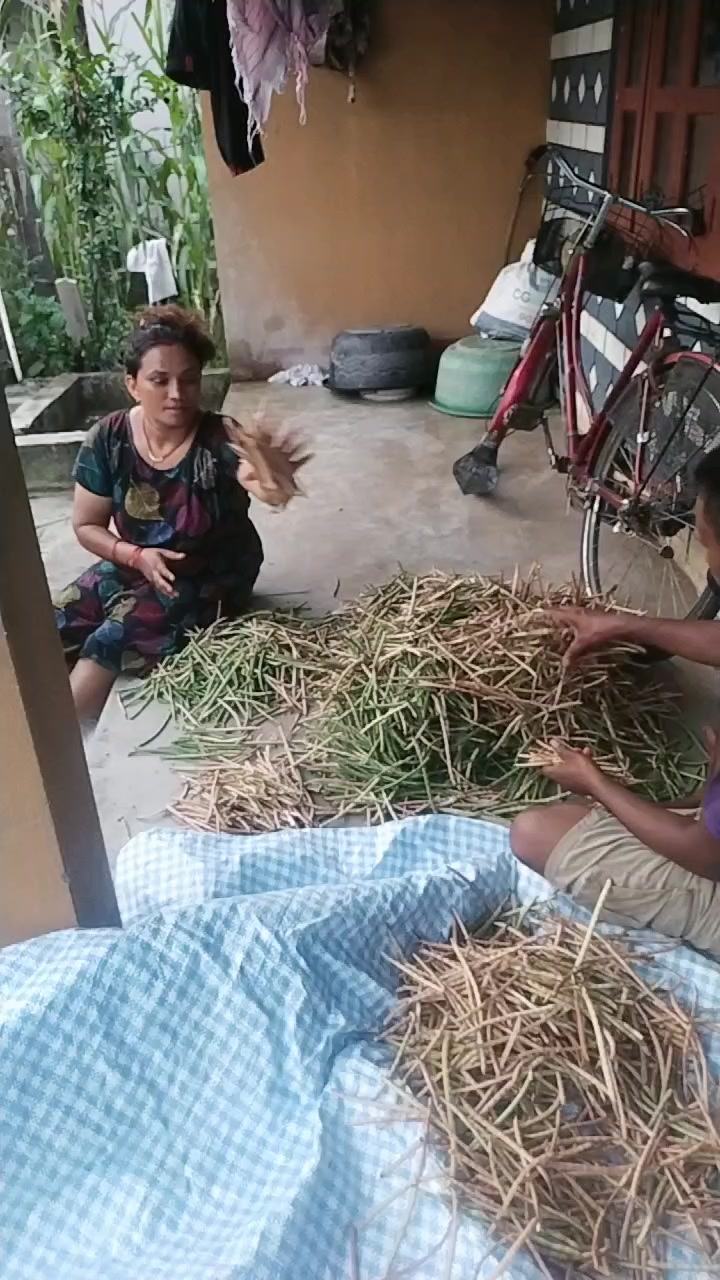 @indratiwari19