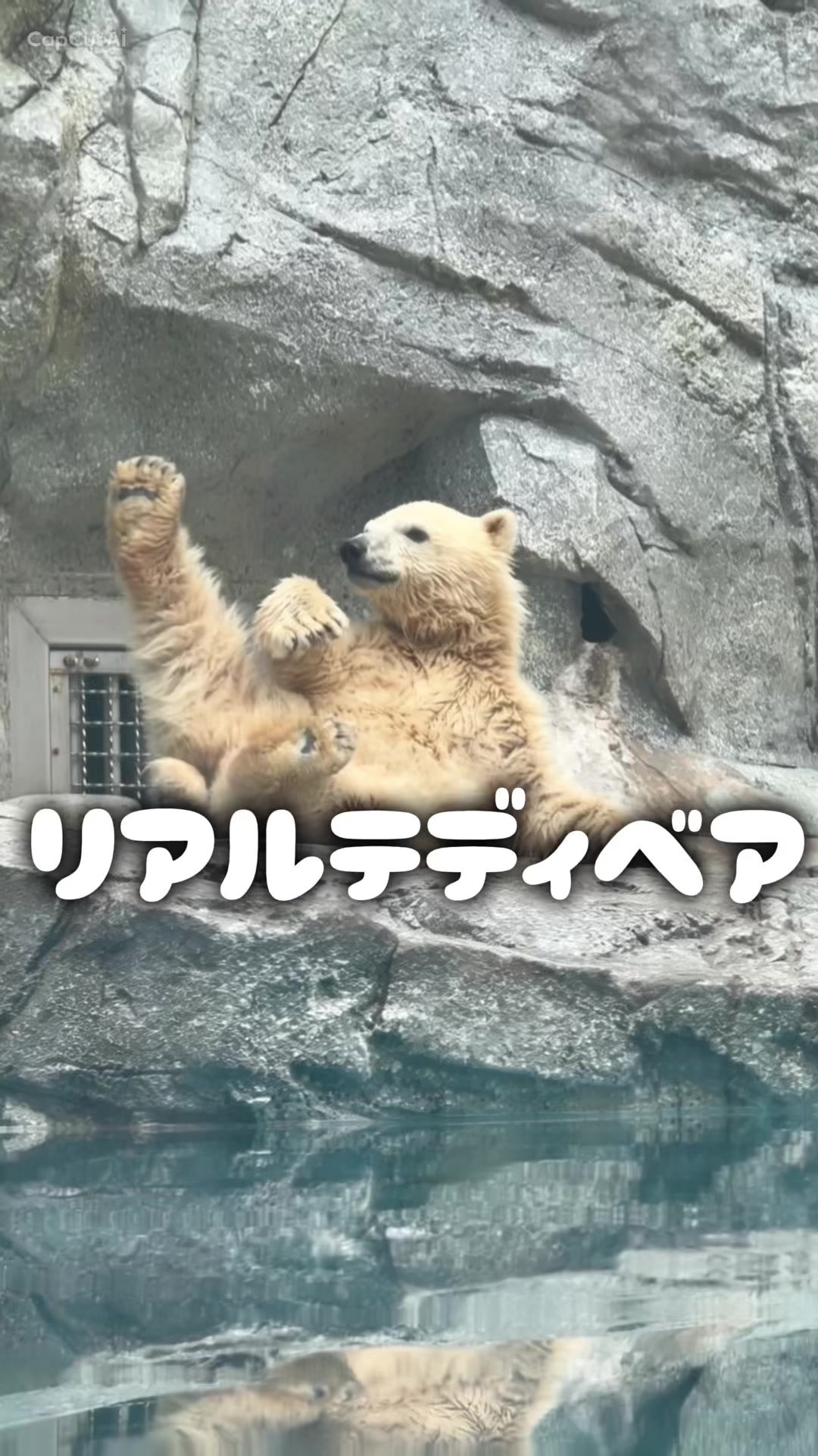 @minami