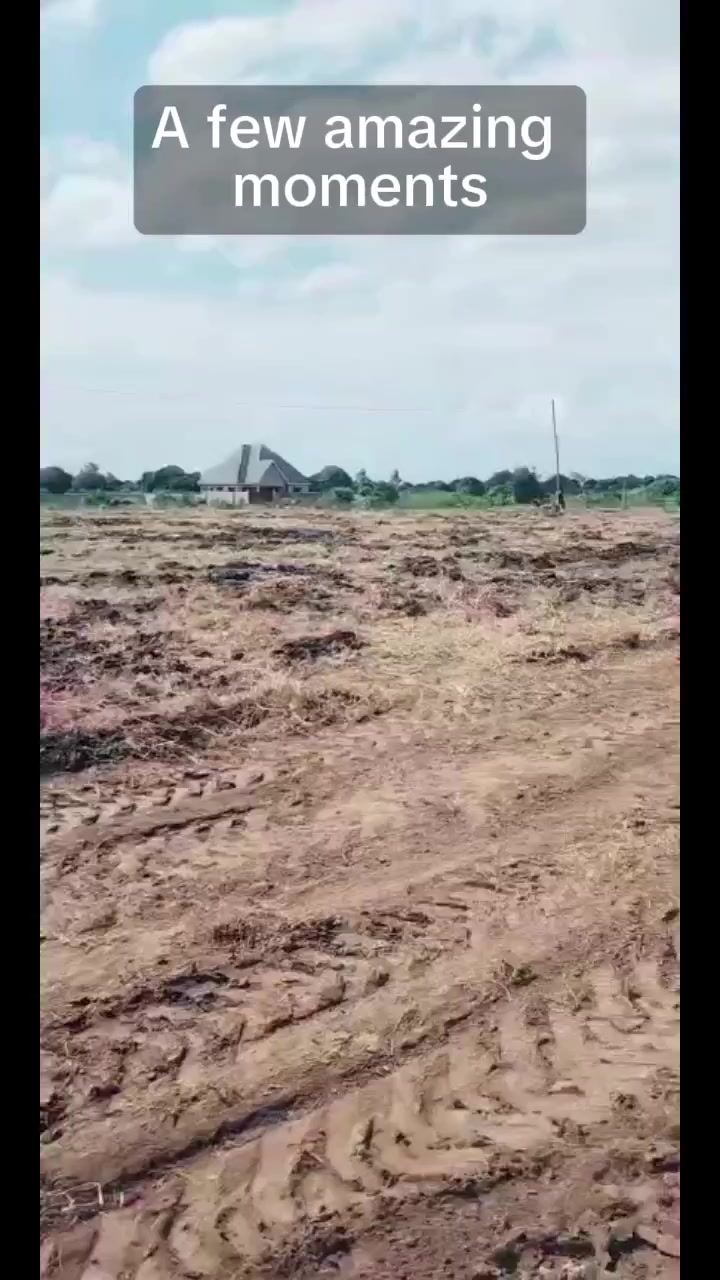 @Kilimo Biashara
