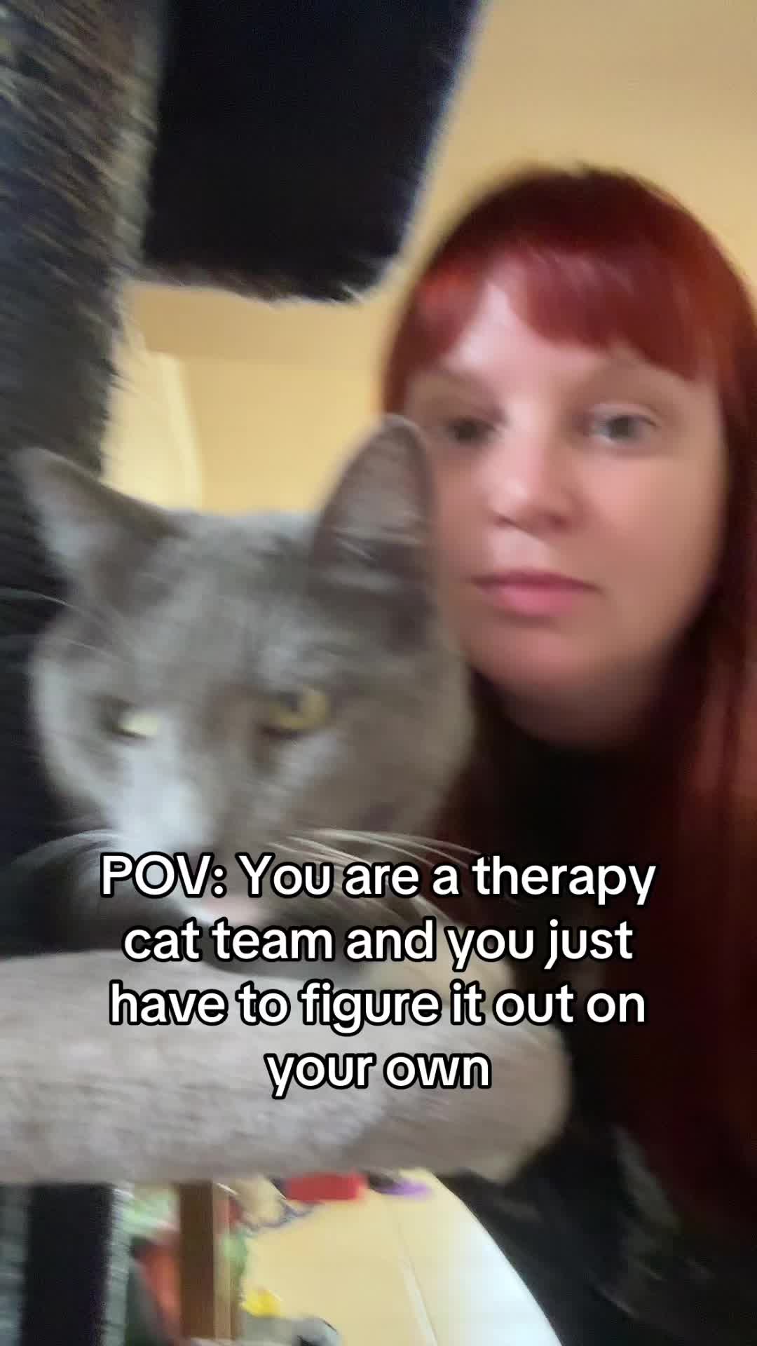 @Therapy Cat Roger & Family