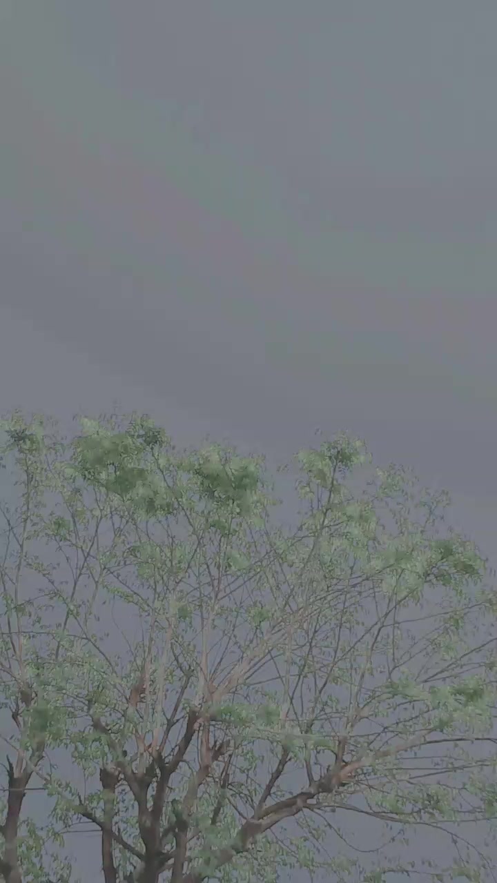 @شــــہزادی