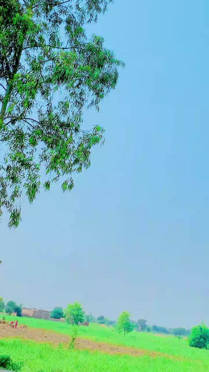 @احسانی پاکھرےآلا🫀