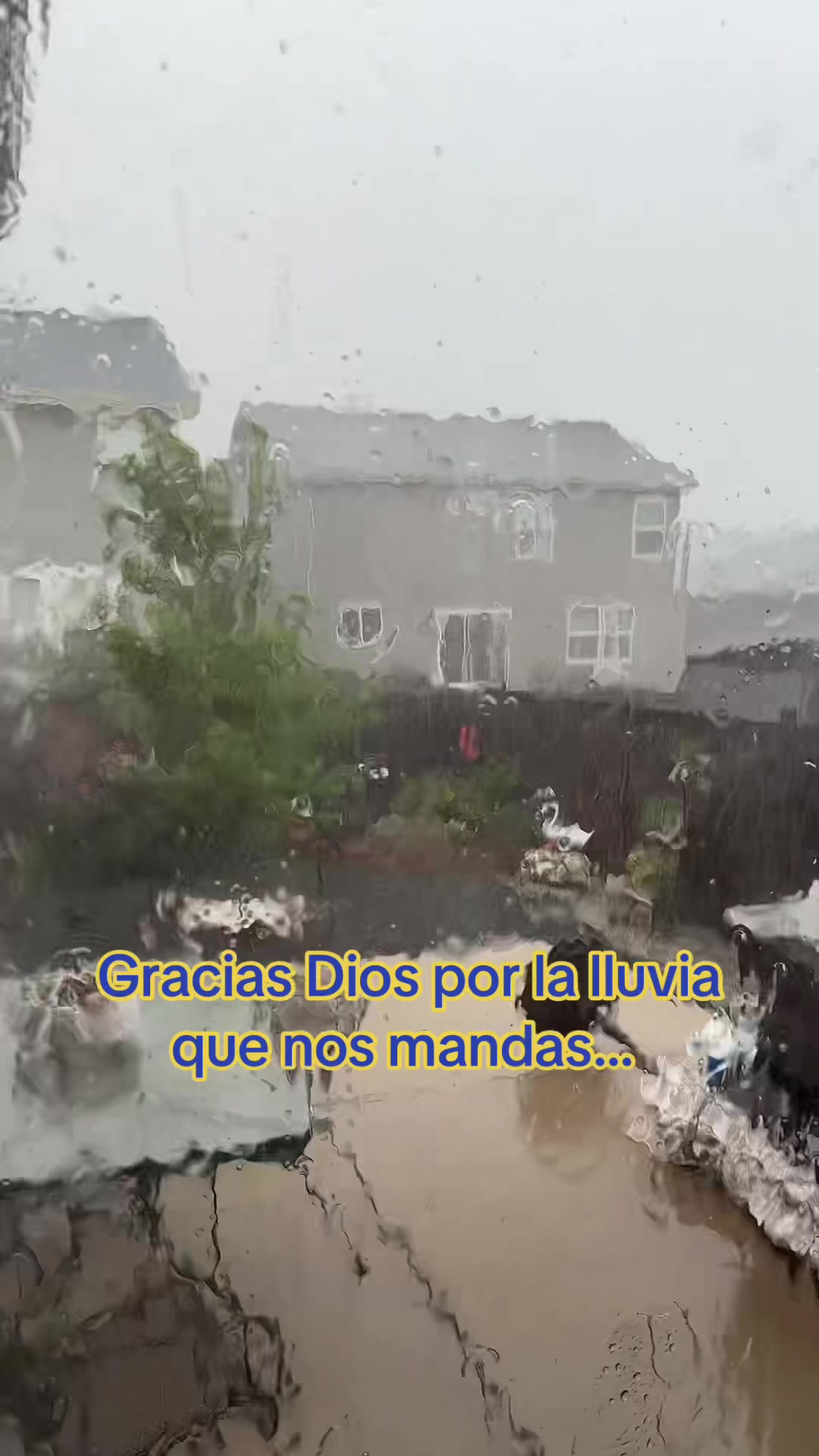 @Catalina E