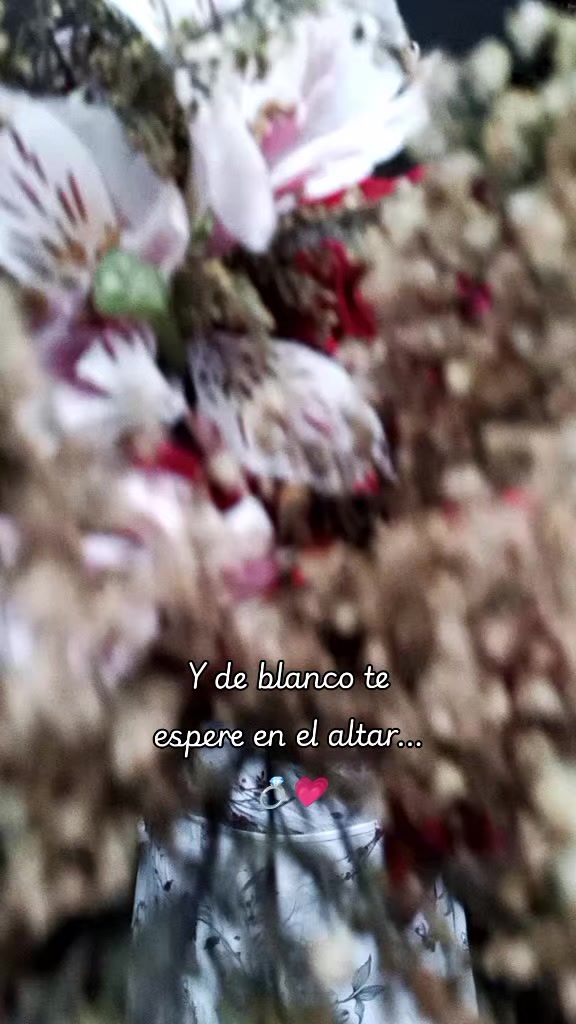 @𑣲ꜱᴇɴꜱᴇɪ 𝘿𝘼𝙓𝙓₊༘⋆