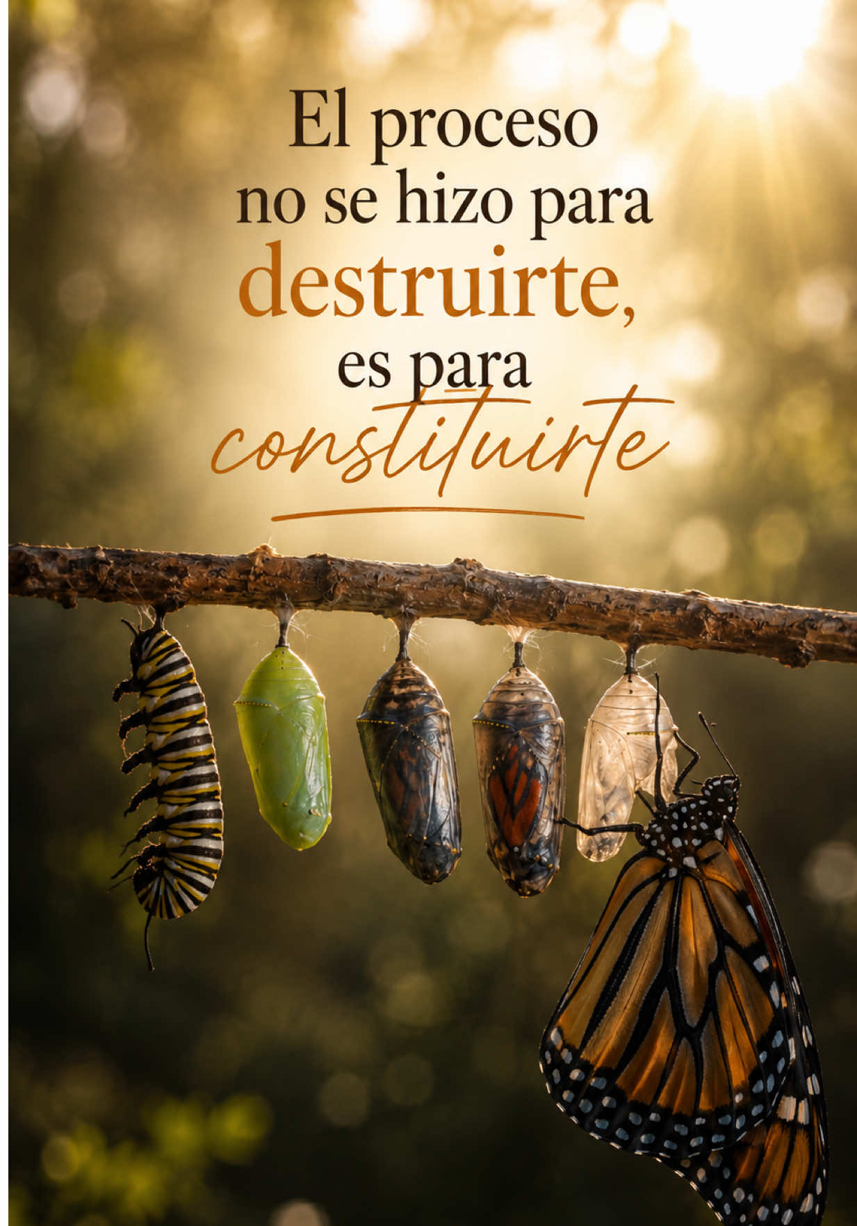 @Yovani Quinteros