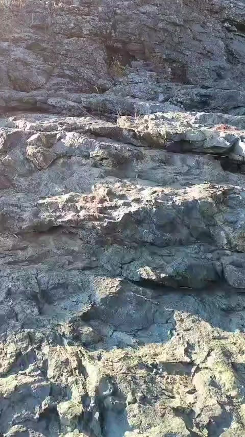 @Елена Фомина