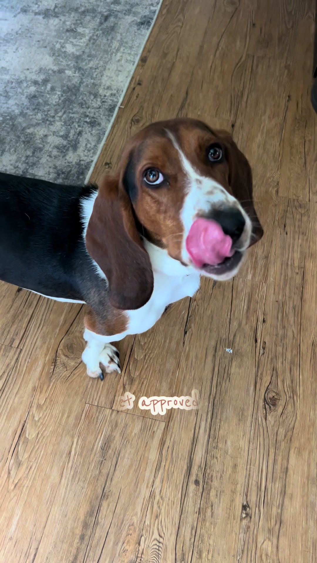 @MarriedWithDogs