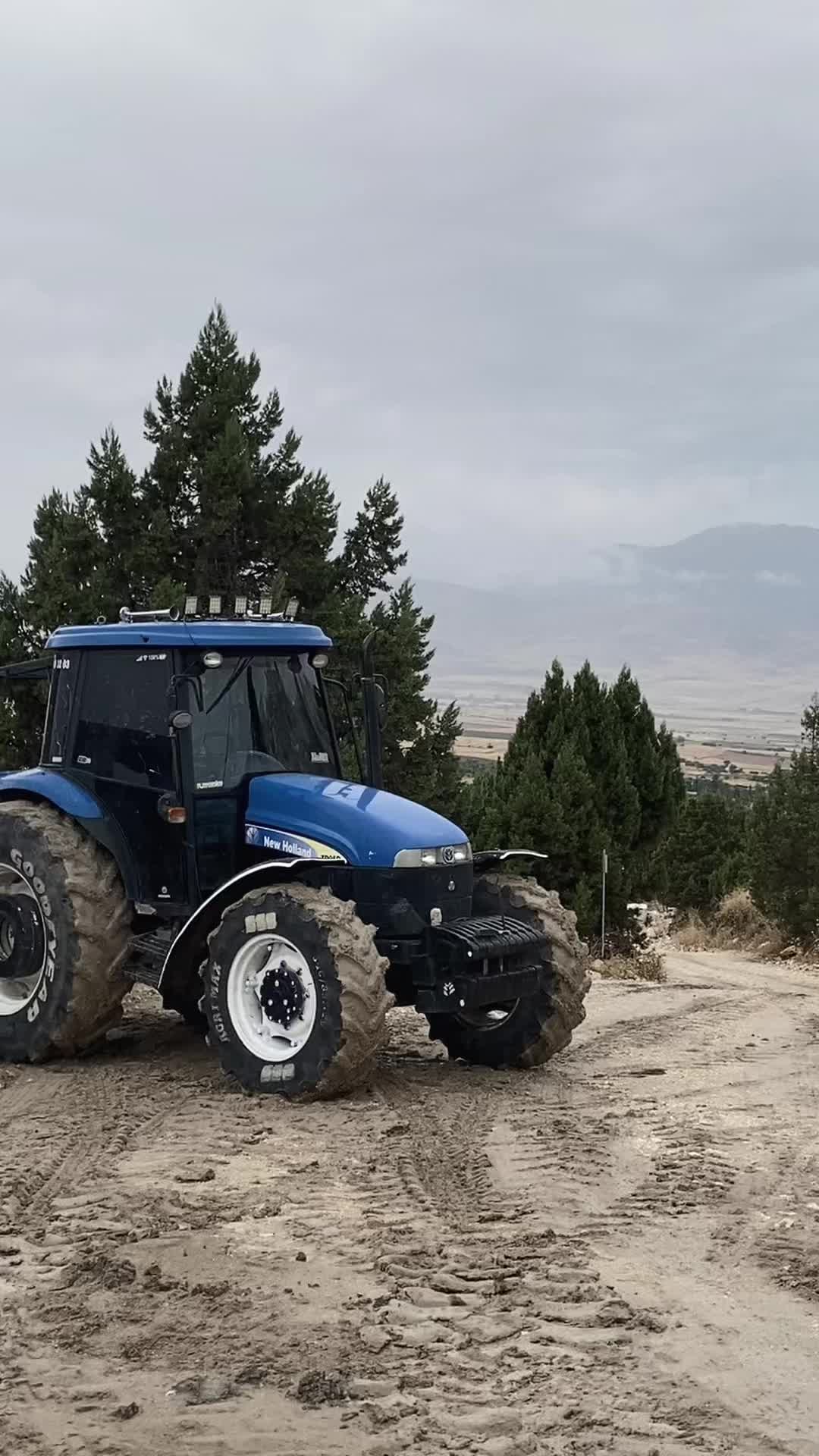 @Musa Günel