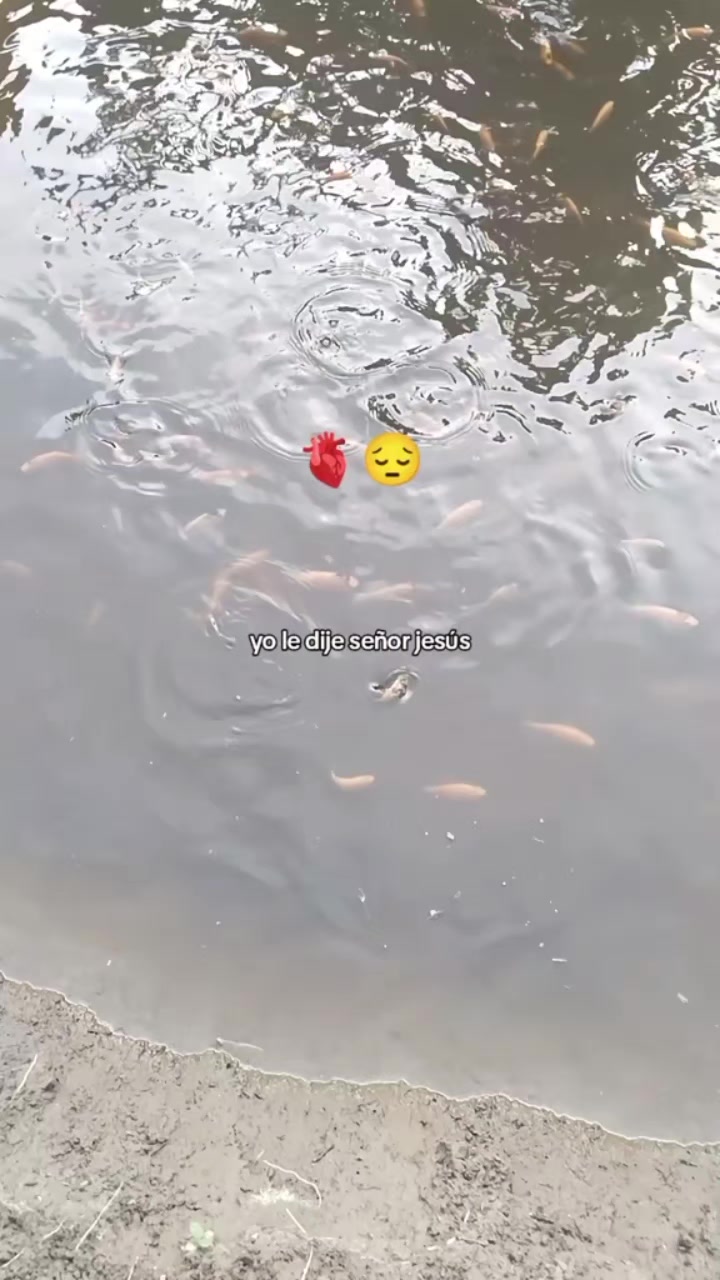 @MIRIAM🦋🦋