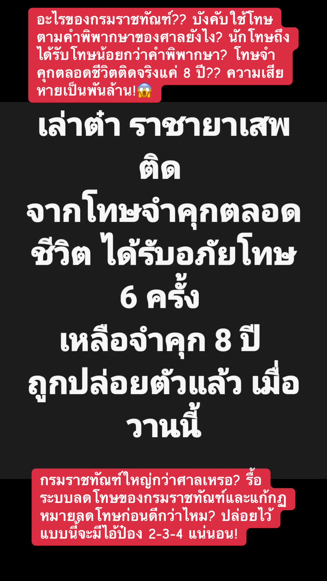 @ทาสแมว_News