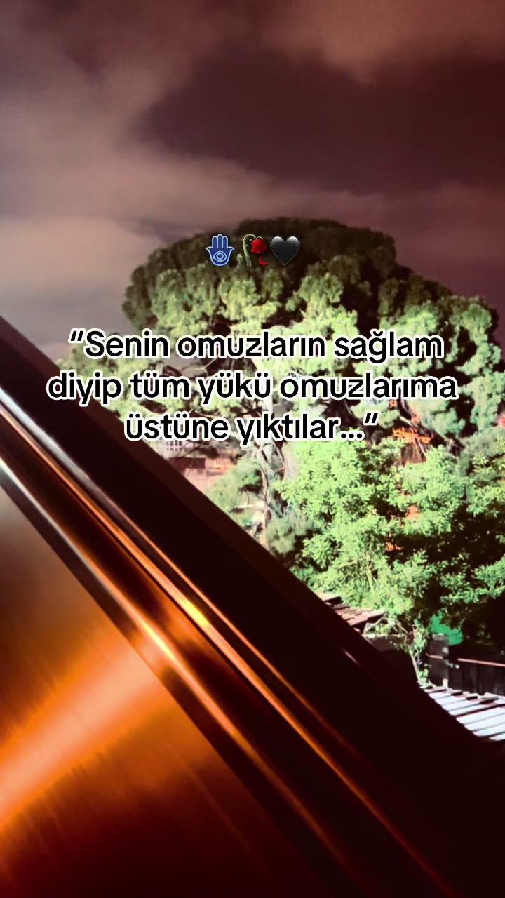 @storhanem63.01