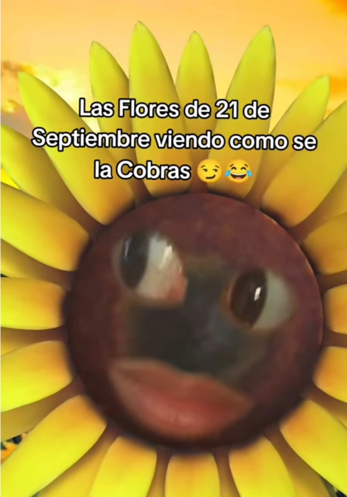 @Kevin Saldaña