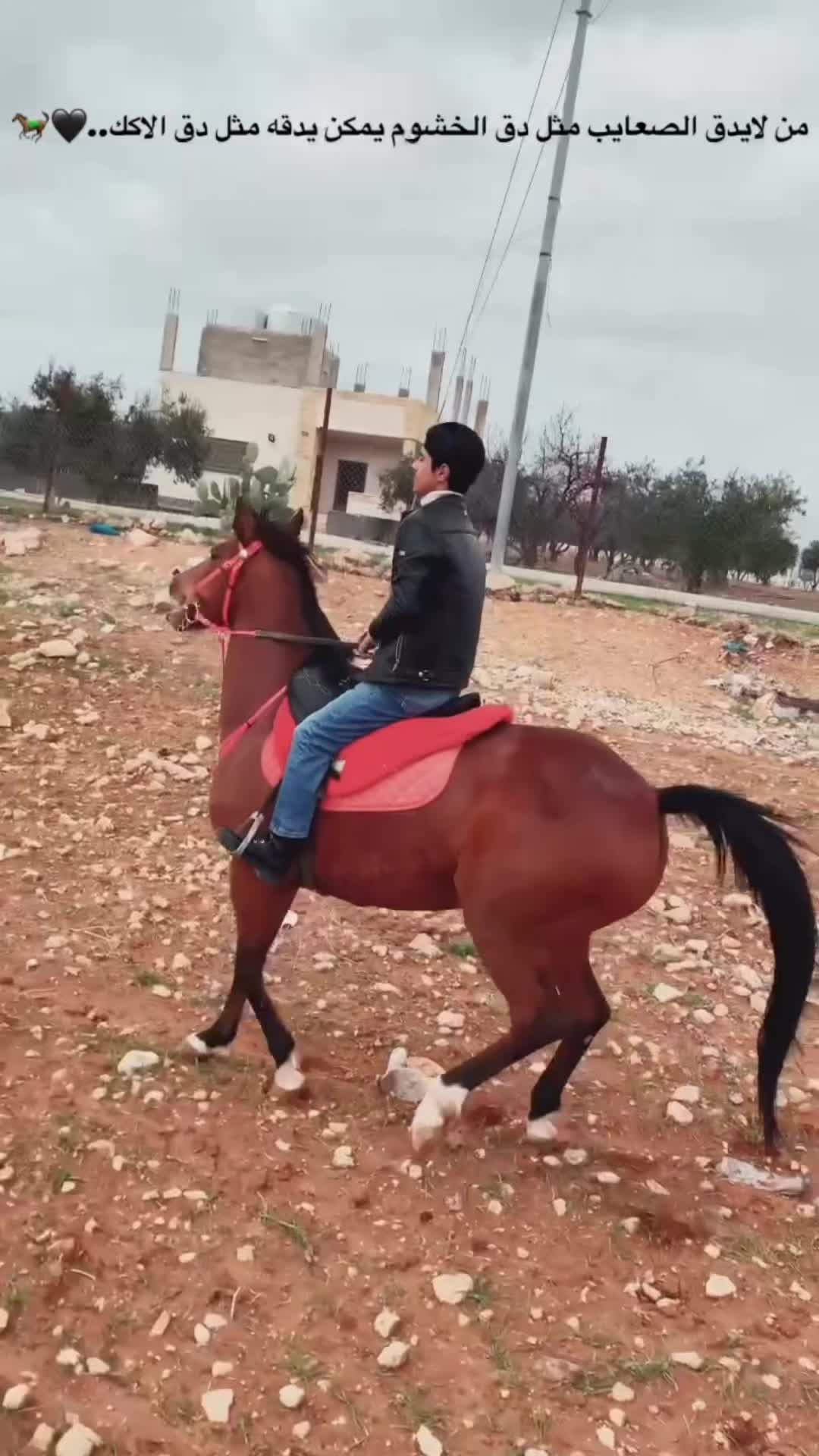 @عبدالله المطيري