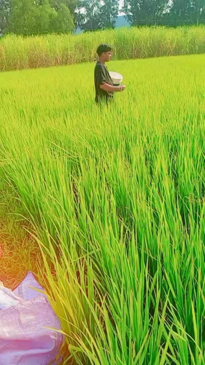 @It's_me_aaditya004