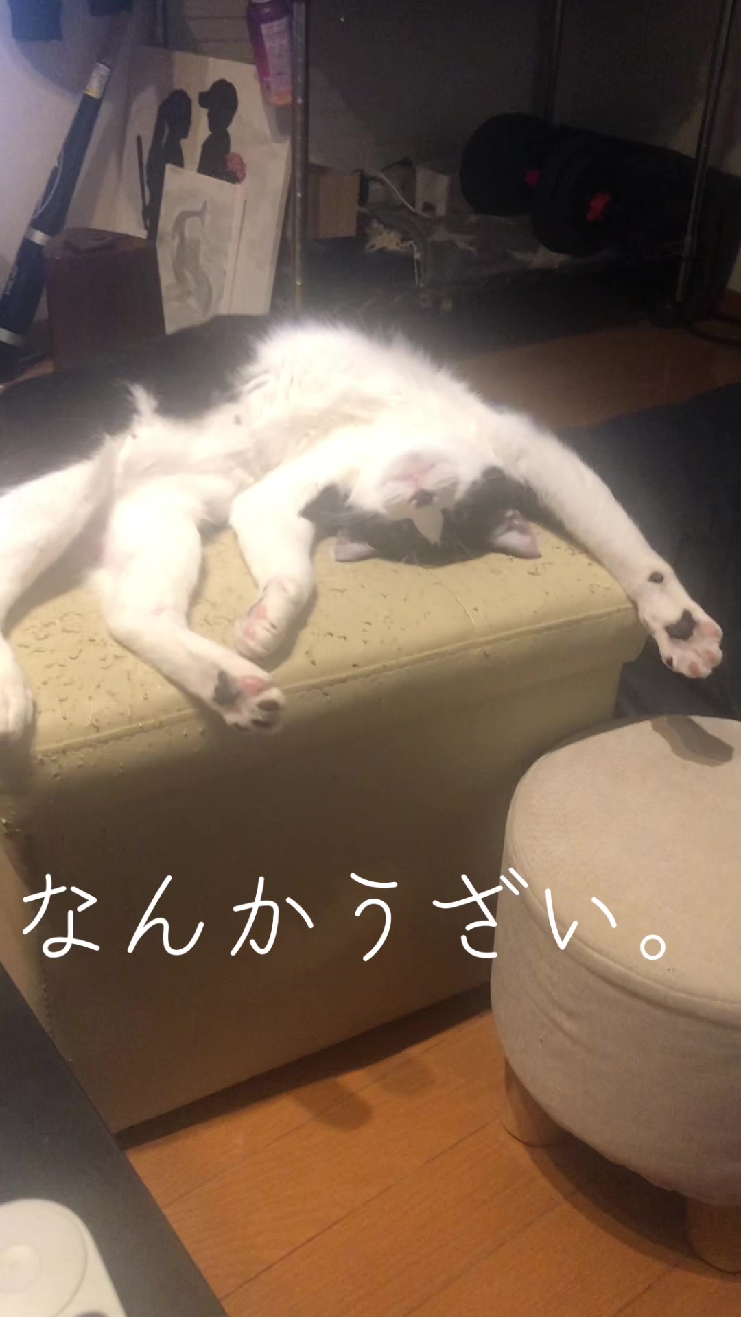 @SSS.MGMしば