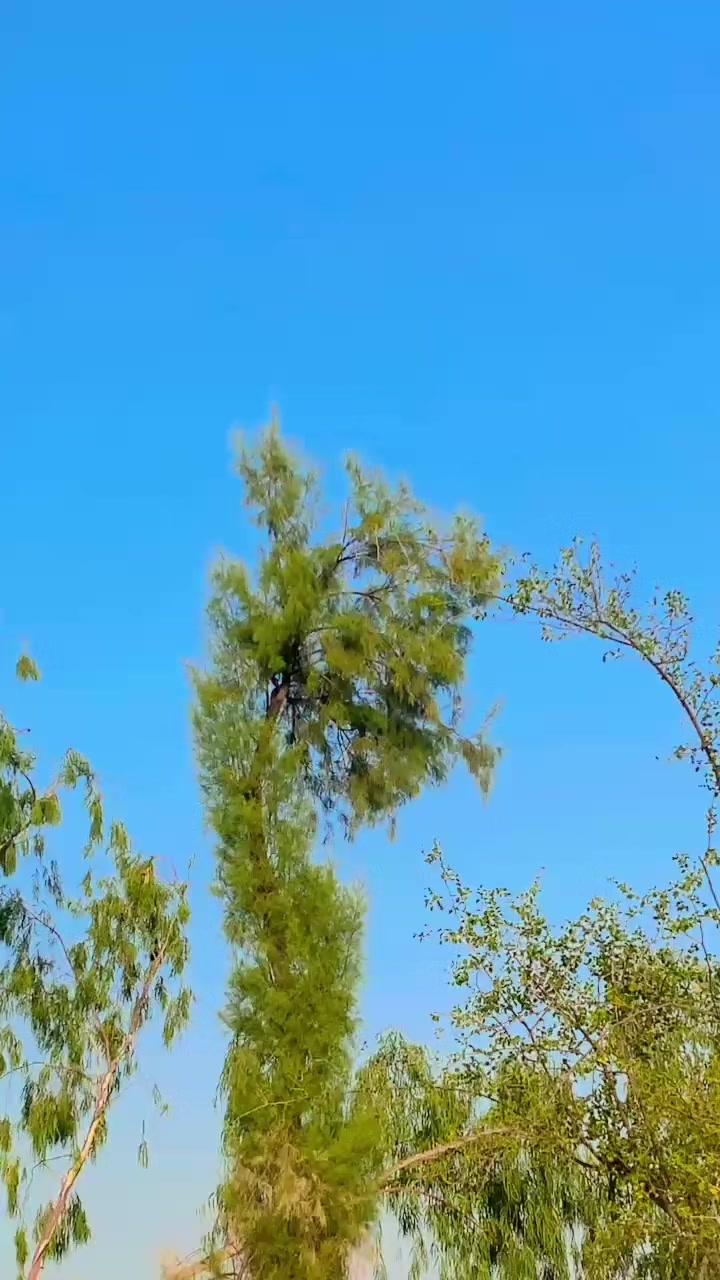 @𝘼𝙠𝙗𝙖𝙧 𝘽𝙝𝙖𝙏𝙏𝙞🦅🔥