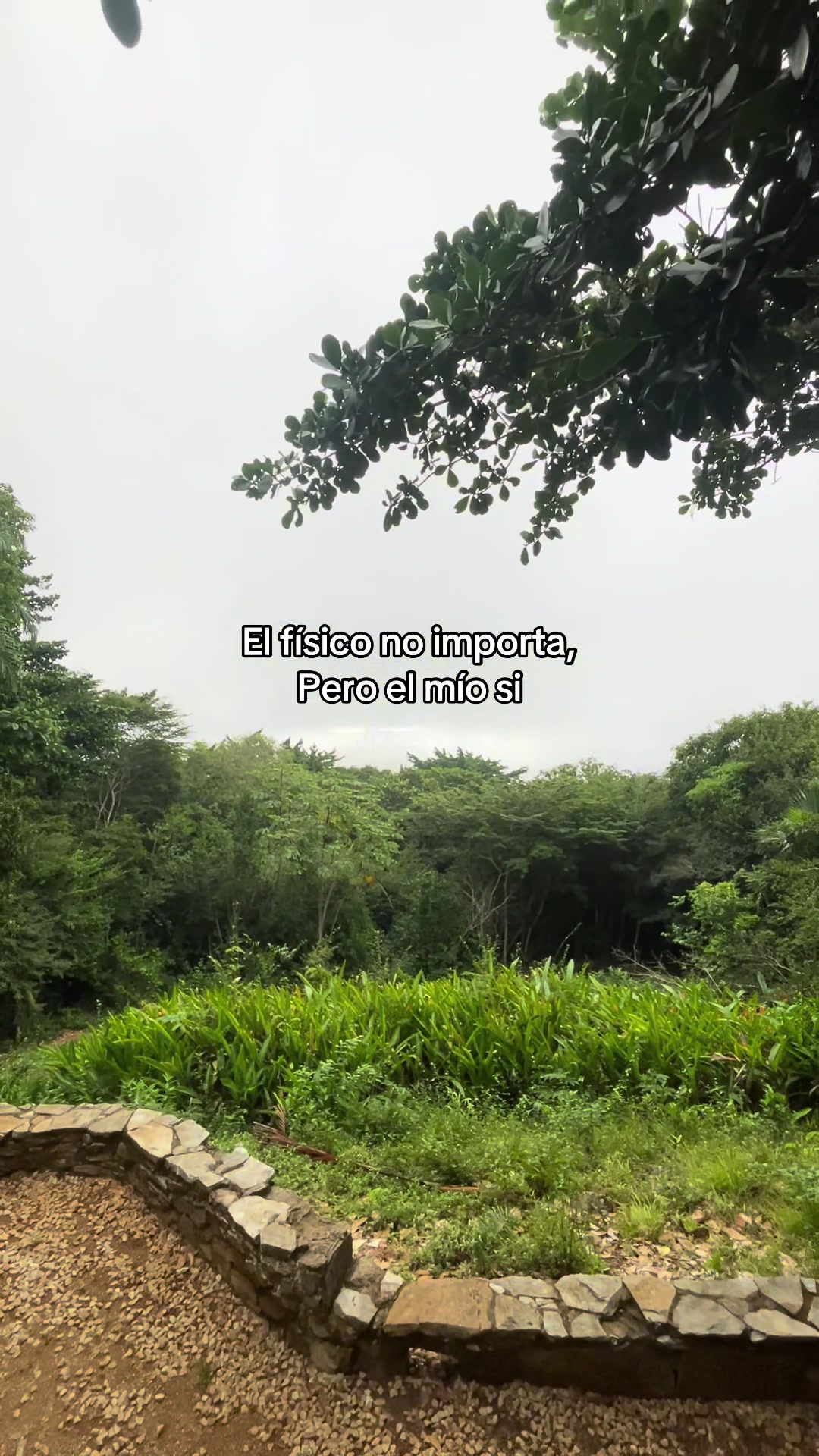 @Manuel Chacon