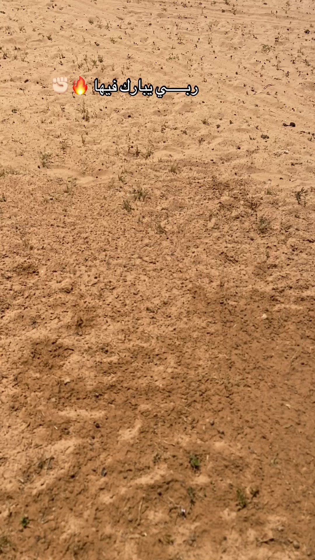 @الفرعوني ✋🏻🔥