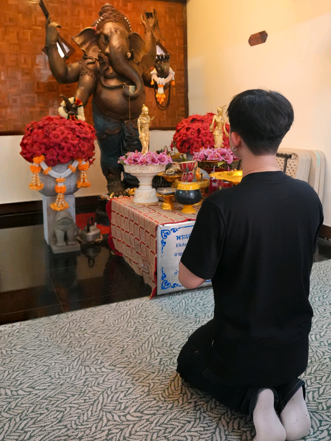 @น้องนิวมีชิวาว้าชื่อคิวซี