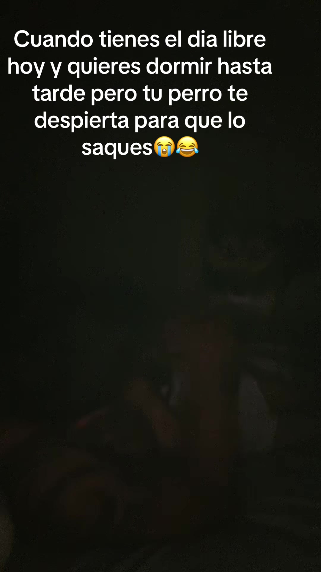 @Alejo