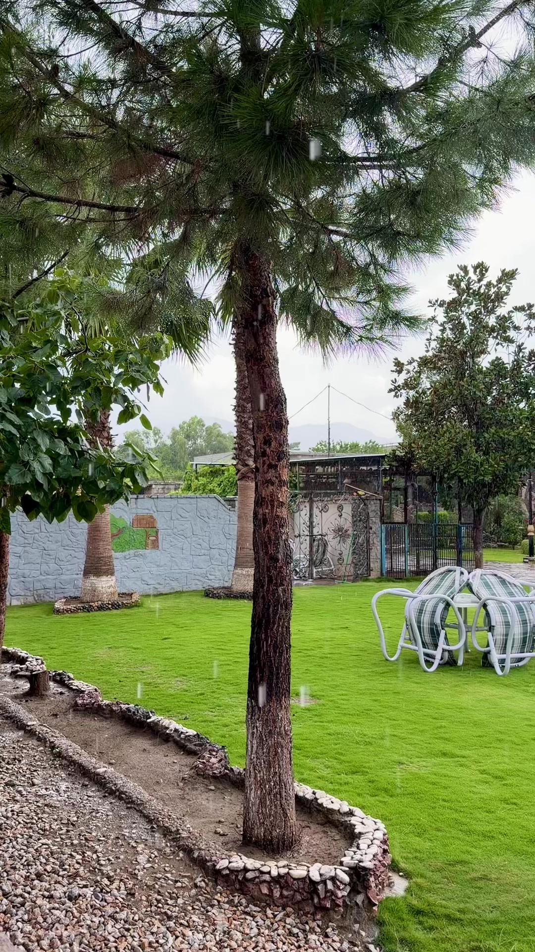 @Malak Nasar khan (MNk)