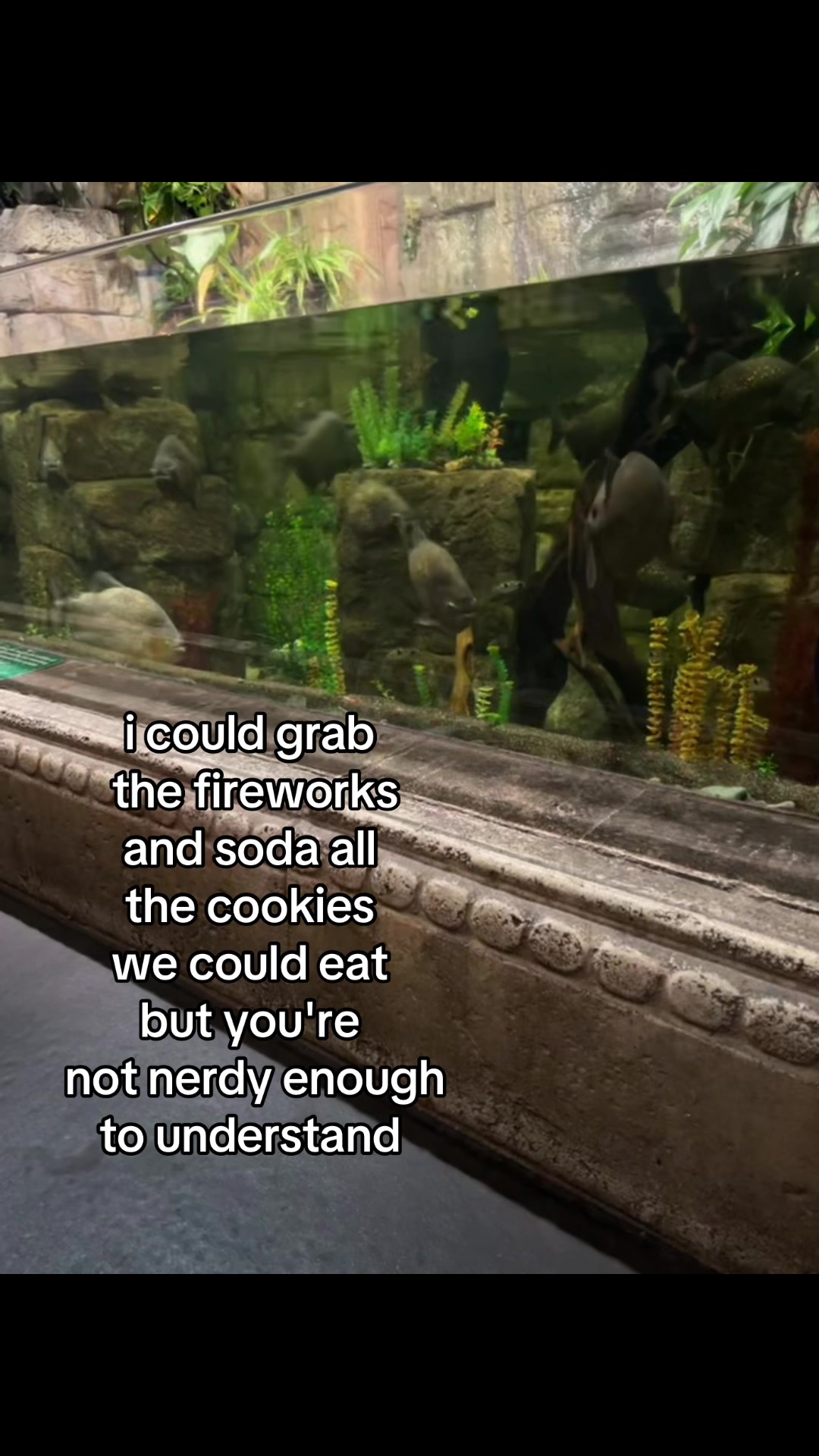 @⋆˚꩜。