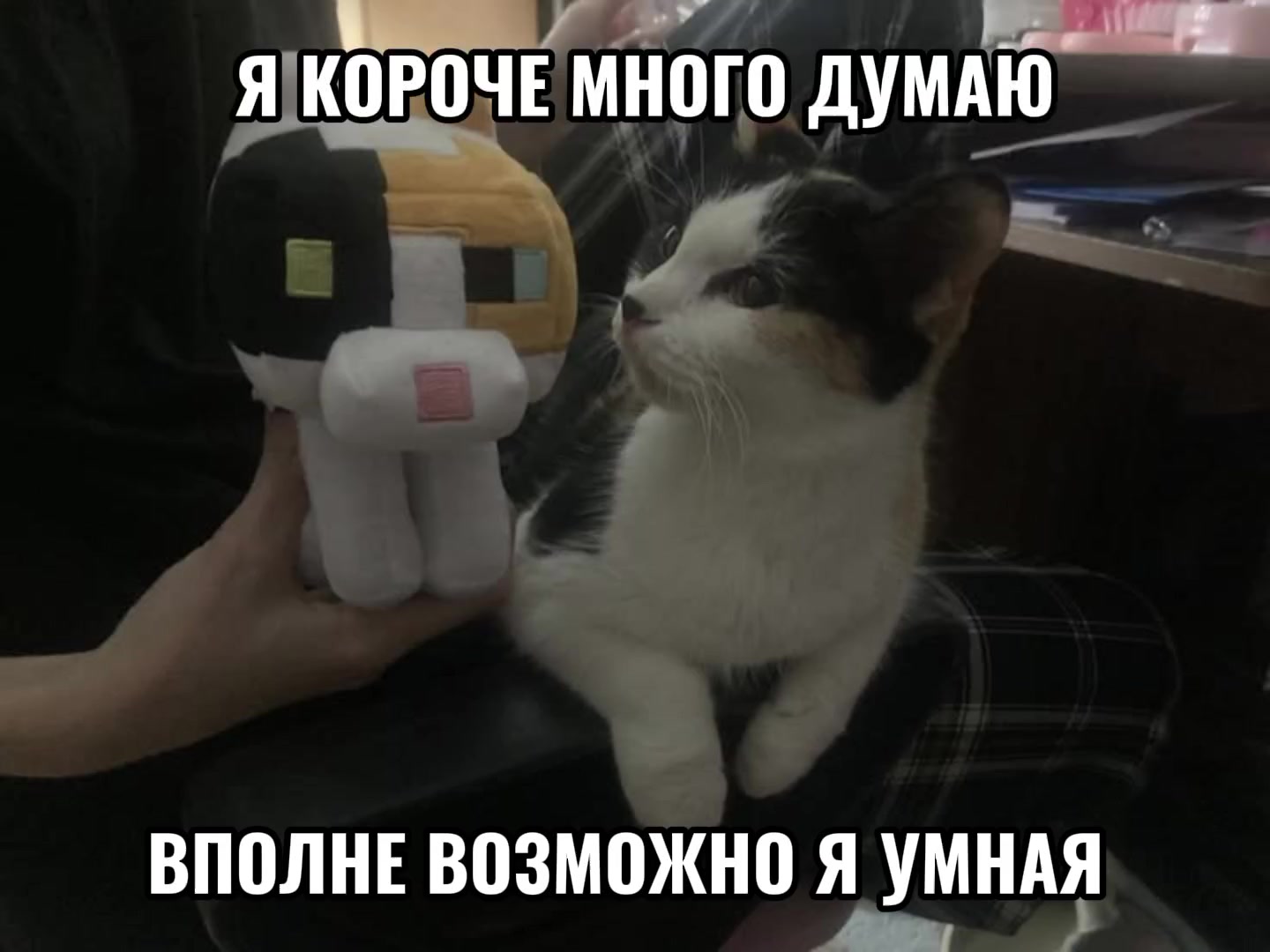@𝘼𝙍𝙏𝙄𝙎