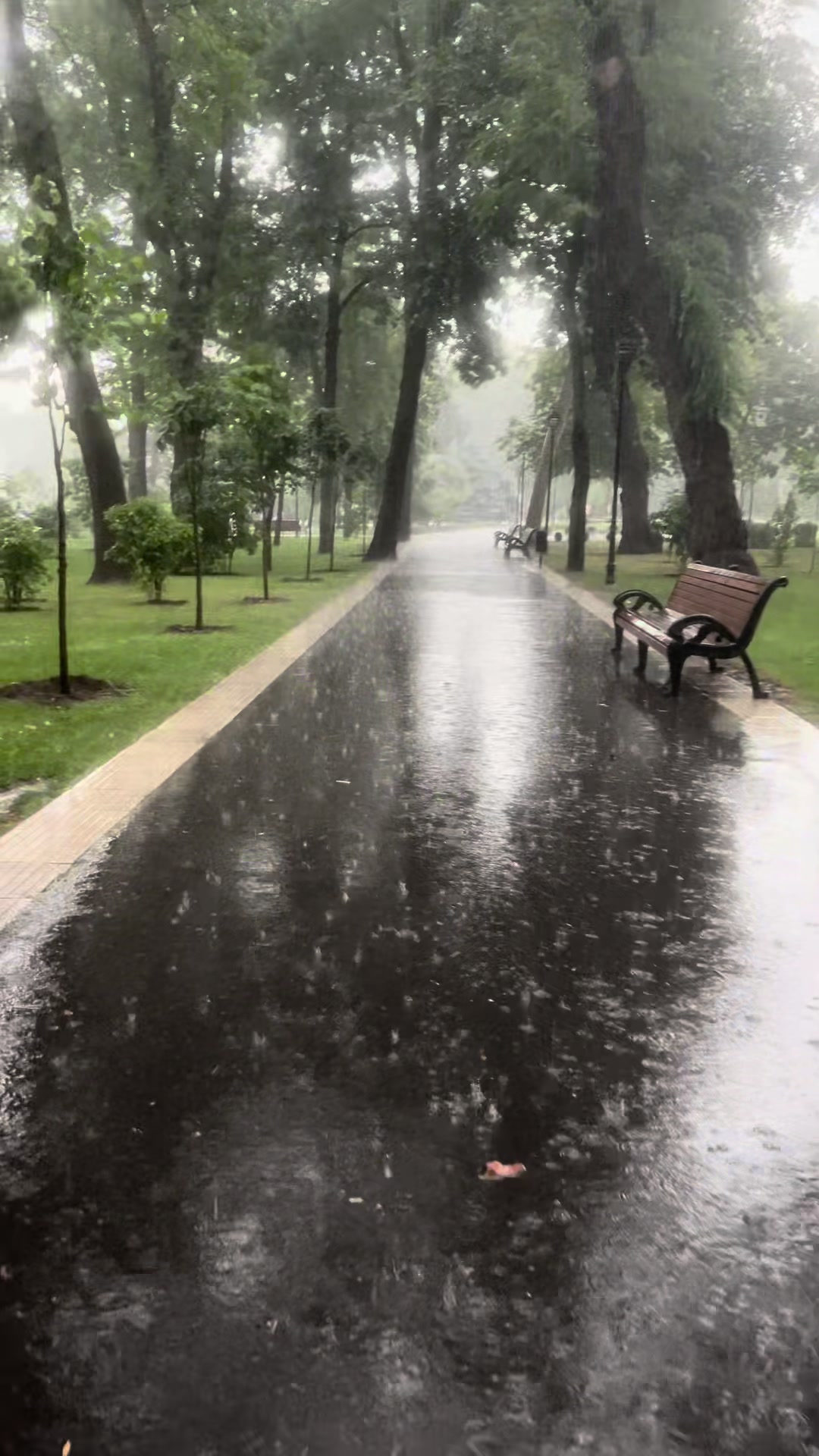 @вермишель