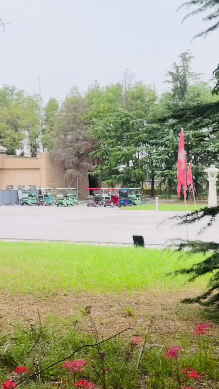 @علی بلوچ🦅