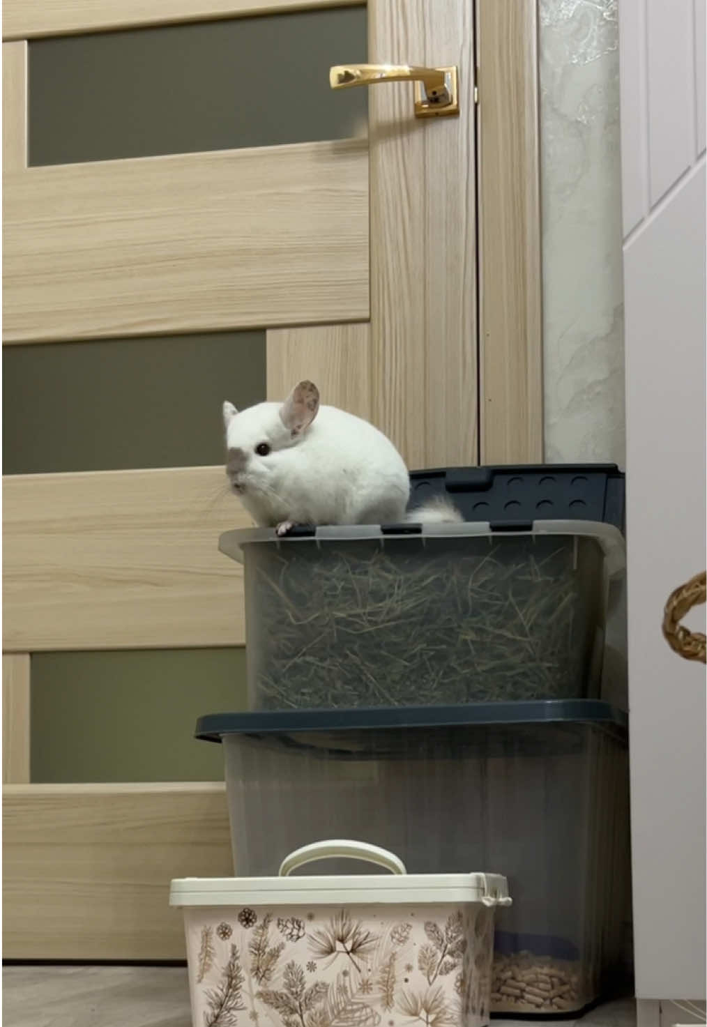 @Лулу