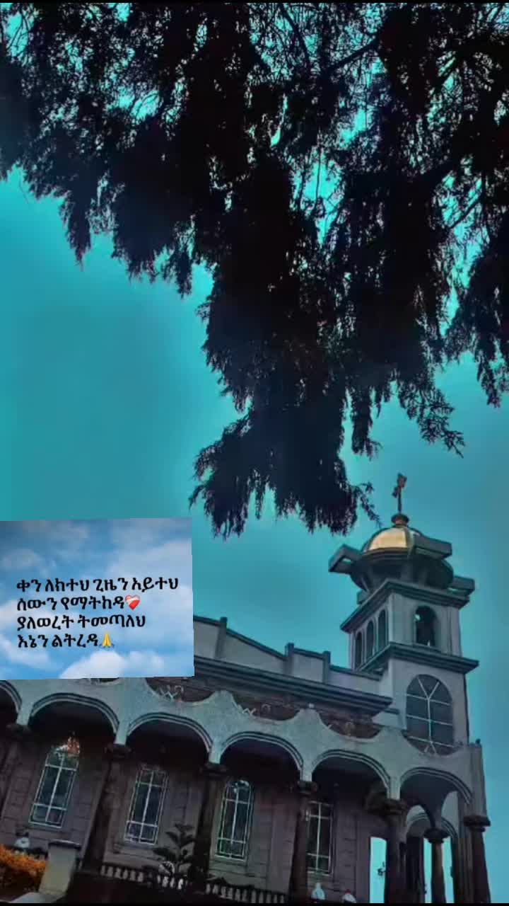 @habesha_12