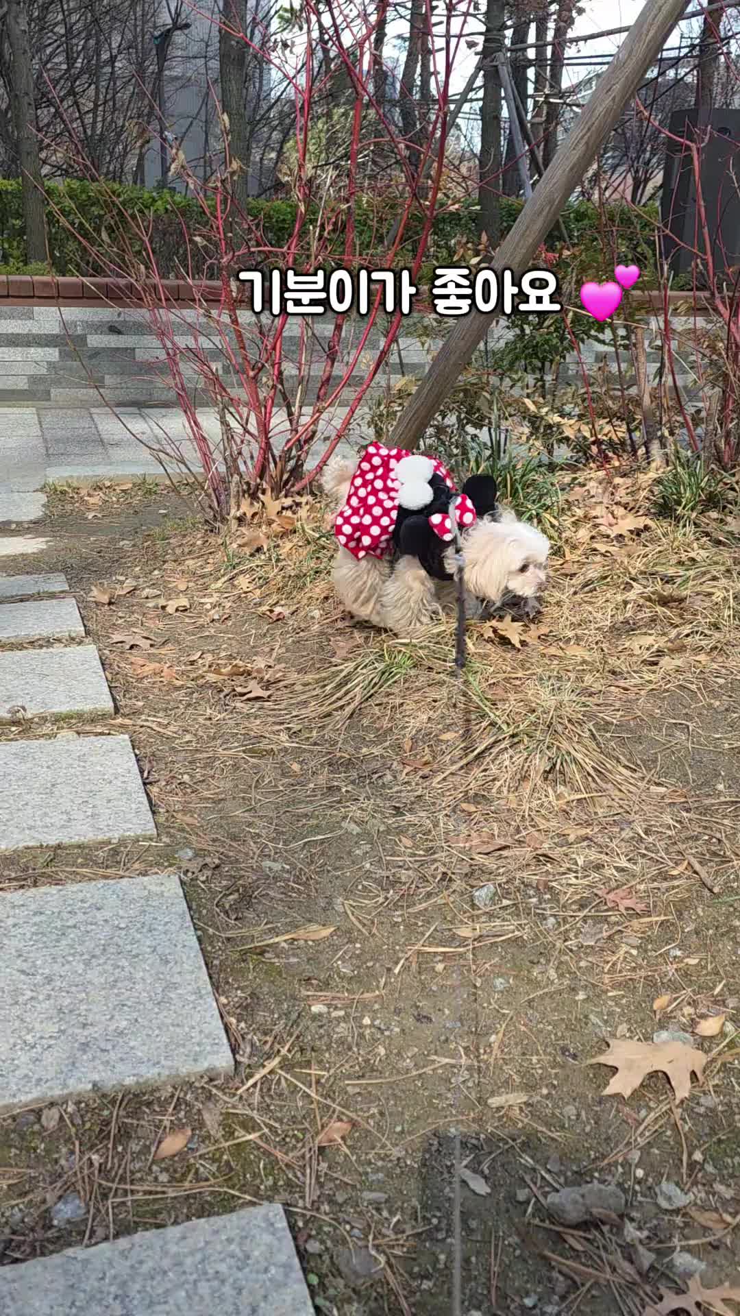 @토리엄마