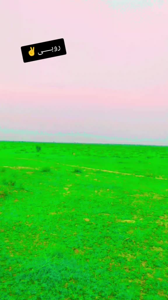 @𝓓𝓪𝓷𝓲𝓼𝓱 𝓜𝓪𝓱𝓲 80☚