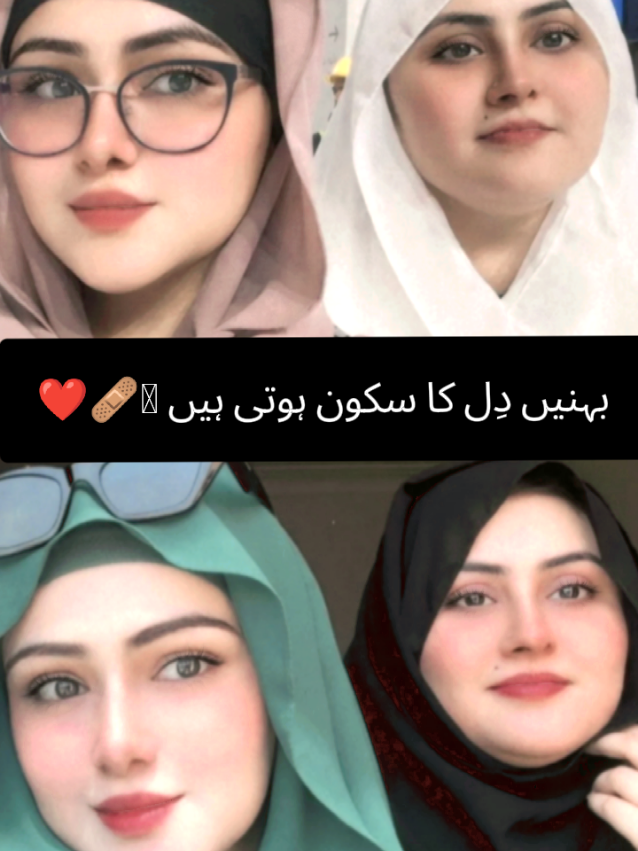 @Sehar^obsessed^Laraib 💜🐣