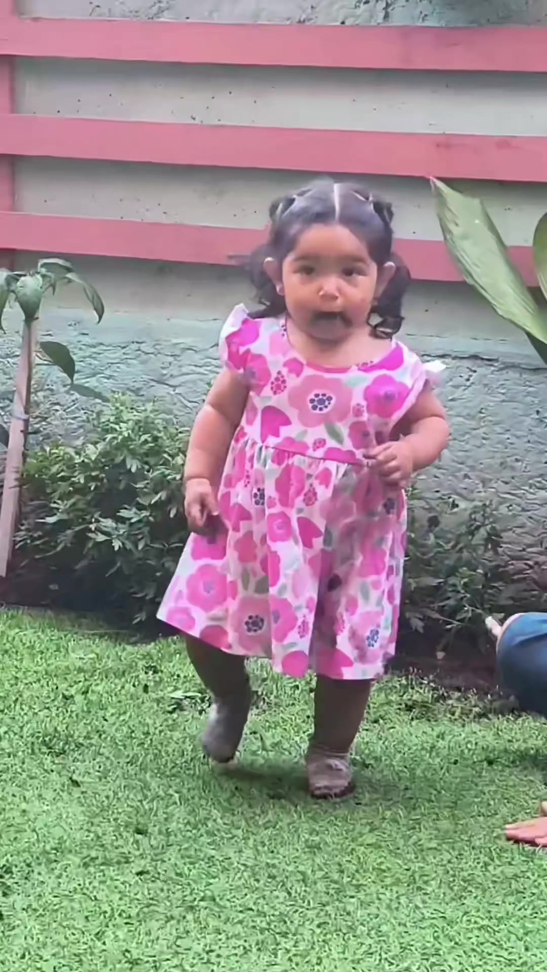 @Valentina Mansilla P